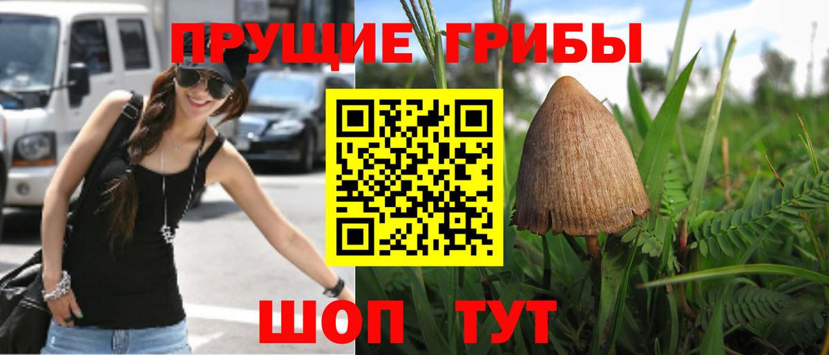 Галлюциногенные грибы мицелий Киселёвск